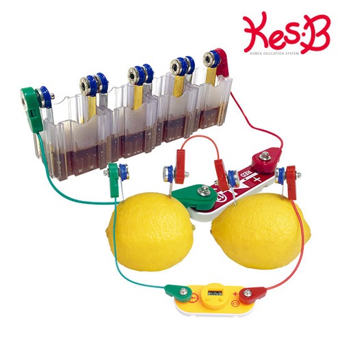 cs2170 과일로 전기만들기/척척박사전기회로 어린이과학