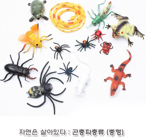 it3035 자연은살아있다 곤충파충류탐험(중형)/곤충 모형