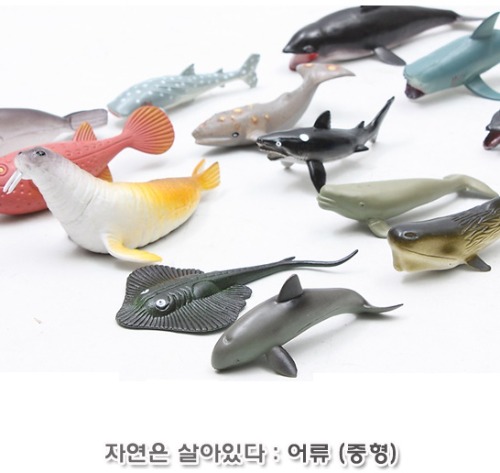ti3033 자연은살아있다 어류탐험(중형)/물고기 모형완구